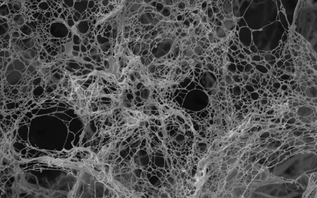 Cellulose Nanofibers: A Sustainable Solution for the Future