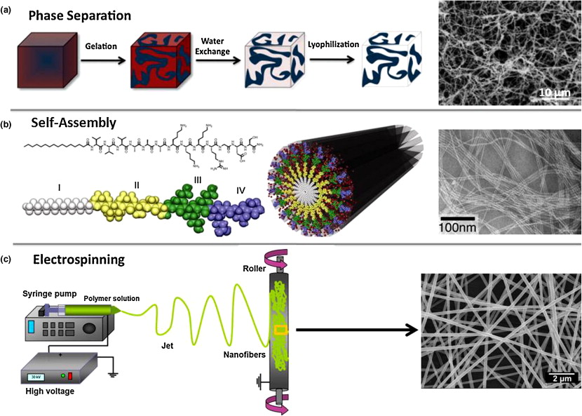 Nanofiber Synthesis: From Electrospinning to Template Synthesis