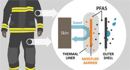 PFAS: A Harm to Human Health and the Environment